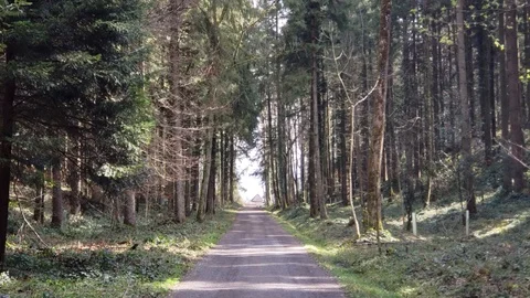 Gutschwald Stock Footage 122266820