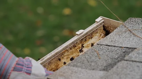 Gutter Cleaning Dolly Angle Stock Footage 57718520