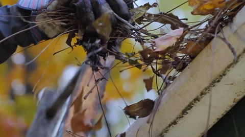 Gutter Cleaning Low Angle 스톡 동영상 57718519