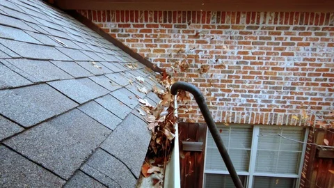 Gutter clogged with leaves being cleaned with blower Stock Footage 121495284