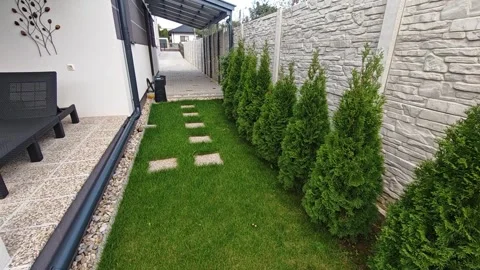GUTTER GARDEN THUJAS FENCE Stock Footage 300861765