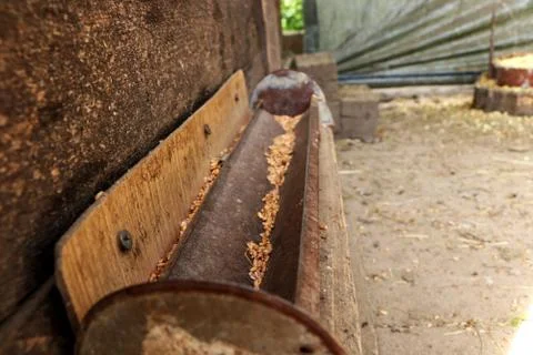 A gutter for grain for hens. Feeder for feed. Suffused earth. Stock Photos