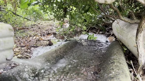Gutter in hard summer rain storm in Clemmons NC Stock Footage 210433100