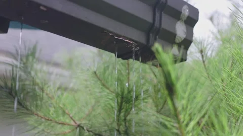 Gutter Series 01 - Water Leaking From Broken Gutter Видео 343245403
