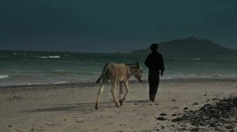 Guy and donkey on the beach Stock Footage 10818609