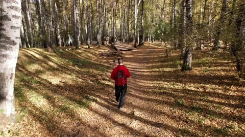 A guy in the autumn forest is walking along trail Video stock 218465284