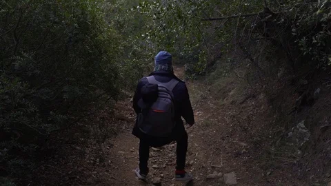 A guy with a backpack goes down a steep slope in the forest Barcelona Stock Footage 101269917
