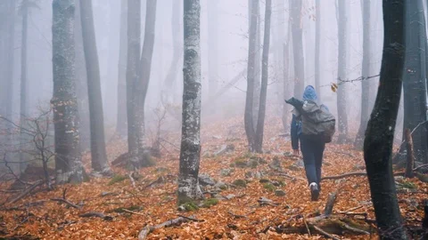 A guy with a backpack is walking in a foggy forest. Stock Footage 128899329