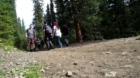 A guy with a backpack is walking in a forest area. Stock-Footage 161808661