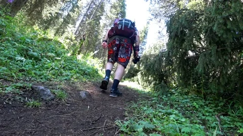 A guy with a backpack is walking through forest. 스톡 동영상 159144057