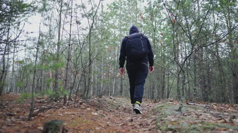 A guy with a backpack wanders through the forest Stock Footage 231717509