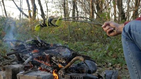 Guy bakes vegetables on fire in forest , eggplants and peppers Stock Footage 119036304