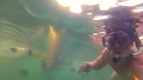 The guy bathe in the sea with fish. Scuba Diving in Masks. Sunlight through the 库存影片 76133428