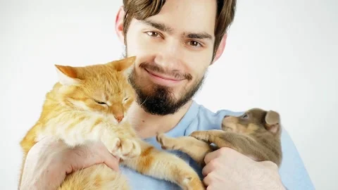 A guy with a beard holds a ginger cat and a chihuahua puppy in his arms. Domesti Stock Footage 133232773
