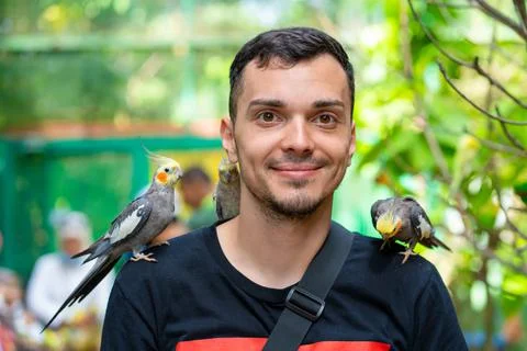 The guy in the bird park communicates with parrots. Tame parrots beg for food Stock Photos