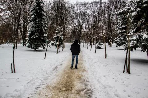 A guy in a black jacket is walking along the road. Silhouette of a man. Winte Stock Photos
