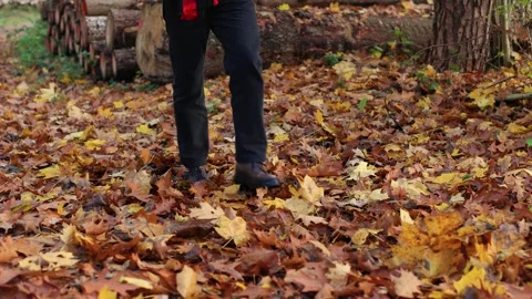 Guy in black jeans walks through the leaves in autumn forest. forest trail Stock-Footage 262671742