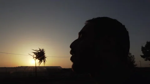 A guy blows a flower Stock Footage 156596743