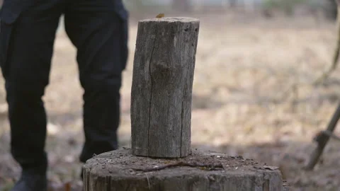 The guy breaks the log into pieces Video stock 234536025