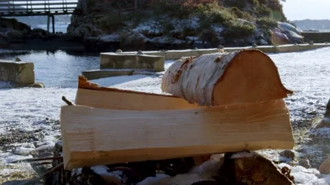 A guy building a campfire with logs during winter Stock Footage 233898472