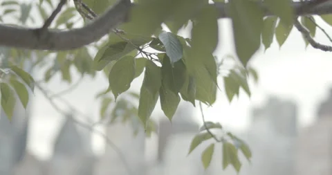 The guy came to put up with his girlfriend in the park on a bench Stock Footage 172543094