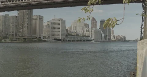 The guy came to put up with his girlfriend in the park on a bench Stock Footage 172556953