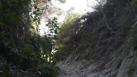 The guy climbs up the steep narrow rocky road in forest Stock Footage 101269655