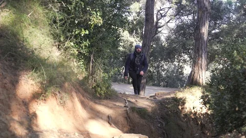 The guy climbs up the steep narrow rocky road in forest Stock Footage 101269765