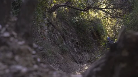 The guy climbs up the steep narrow rocky road in forest Stock Footage 101269948