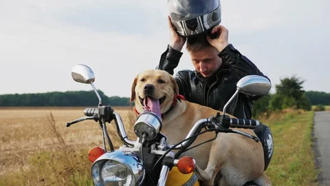 Guy clothes helmet sitting motorcycle Stock Footage 95072210