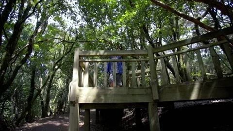 The guy comes to the edge of the observation deck and looks around Stock Footage 231496325