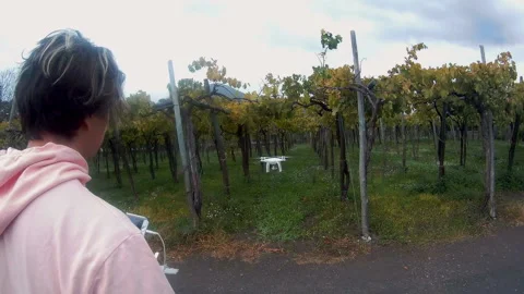 Guy controls the flying drone with the remote and the mobile phone Stock-Footage 102121764