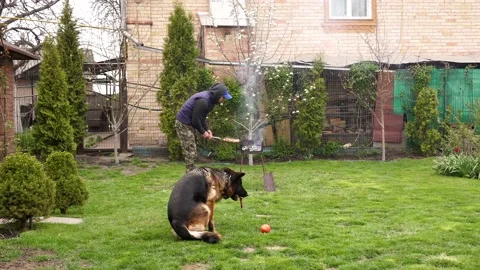 The guy is cooking barbecue. The shepherd is lying while the owner is cooking. Stock Footage 130589378