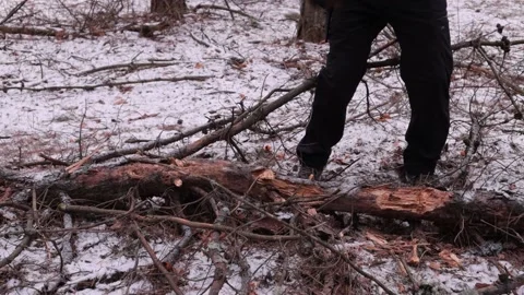 The guy cuts a log in the forest with an ax close shot, cold winter forest Stock Footage 211689651