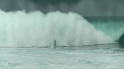 Guy Dives Under Wave At Pipeline Stock Footage 1043236