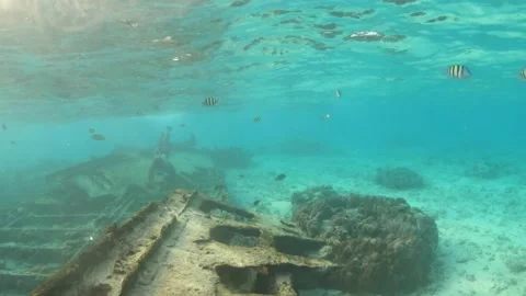 A guy diving in shallow blue waters of a ship wreck Lakswadeep  Stock Footage 157440510