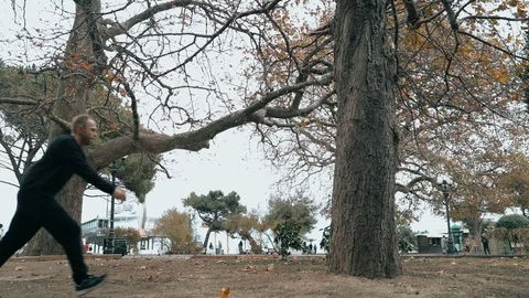 The guy does a somersault by jumping onto a tree. The guy is training parkour Stock Footage 120423609