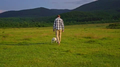 Guy with dog active leisure Stock Footage 142719500