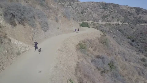 Guy with Dog running up a hiking trail, drone backs out and reveals the trails 動画素材 82246591