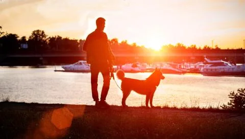 The guy with the dog watching the sunset on the dock. Ukraine. Stock Photos