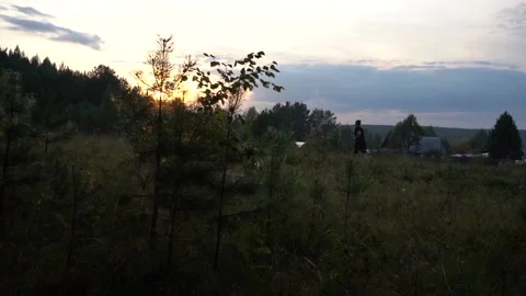 Guy doing a jog in the summer at sunset Stock Footage 139676310