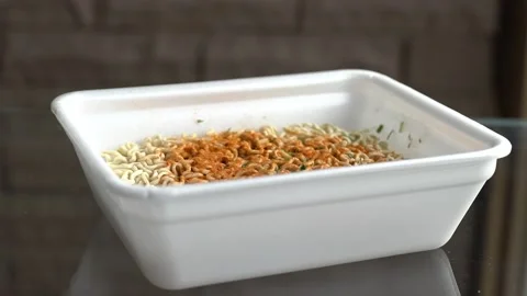 The guy eating noodles Stock Footage 131823645