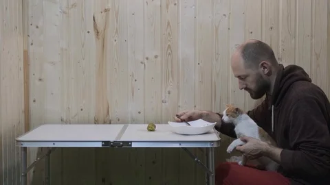 The guy eats, and the cat tries to climb on the table and then jumps down Stock Footage 119825448