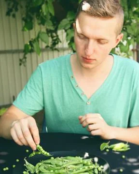 The guy eats green peas. Fresh green peas in a hand on a dark background. Fre Stock Photos