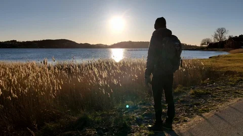 Guy Enjoying Sunny View Over Wild Wheat and Water Stock Footage 101224619