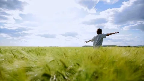 The guy is enjoying the sunset and run on a green wheat field Stock Footage 77978183