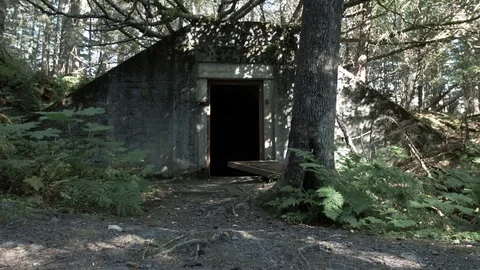 Guy Entering Old WW2 bunker 스톡 동영상 96052974