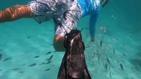 Guy Feeding Fish underwater Stock Footage 102798604