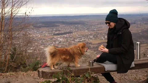 The guy feeds his dog on the top of the mountain during the hike Stock Footage 229974812