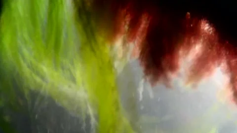 A guy films a half-sunken object underwater Stock Footage 337425354